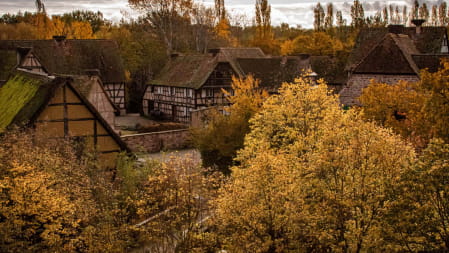 Le verger conservatoire - Visit Alsace